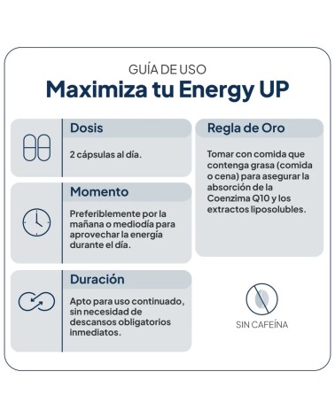 IVB ENERGY UP 60 CAPSULAS