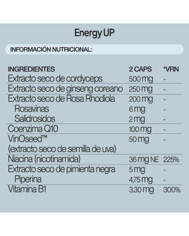 IVB ENERGY UP 60 CAPSULAS