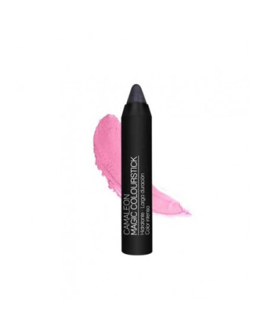 CAMALEON MAGIC COLOURSTICK GRIS.