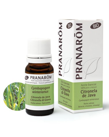 PRANAROM - AE CITRONELA DE JAVA